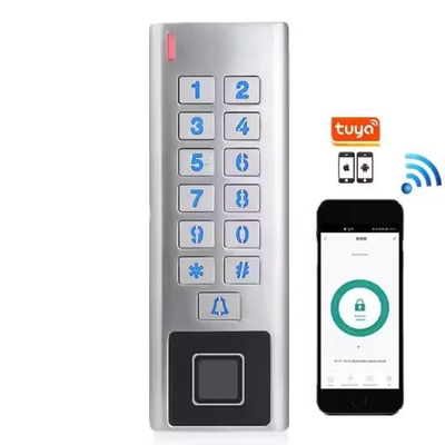 Tuya App Cassa metallica impermeabile WIFI RFID Smart Lock Controllo di accesso alle impronte digitali