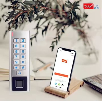 Tuya App Cassa metallica impermeabile WIFI RFID Smart Lock Controllo di accesso alle impronte digitali
