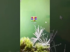 Come aggiornare il sistema di chiusura dell'hotel alla versione 9.27C