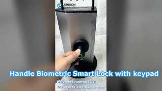 Smart Lock biometrico con maniglia interna