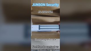 Serratura magnetica impermeabile 600 libbre IP67 Sicurezza esterna